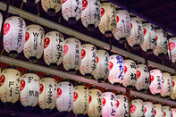 日本留学