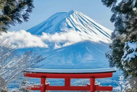 日本留学