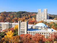庆熙大学