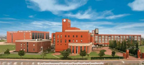 文科大學