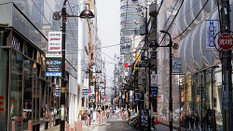 日本留学