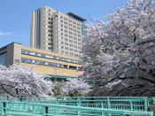 日本留學(xué)