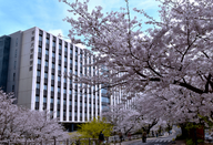 日本大学本科直申