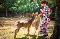 日本留学