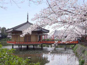 日本福岡旅游