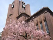 芥末留學
