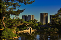 日本大学课外学分获取方式