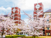 日本留学