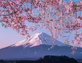 芥末留學(xué)
