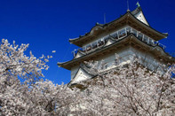 日本留學