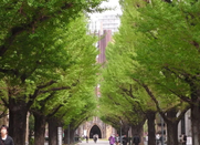 日本留學(xué)