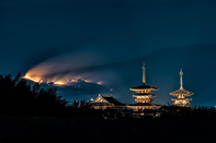 日本留学