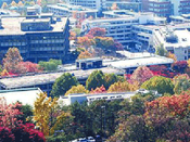 首爾大學(xué)