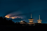 日本留学