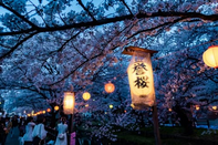 日本留学