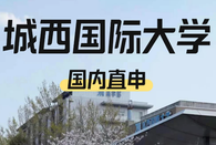 城西国际大学