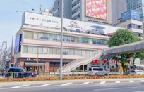 青山国际教育学院