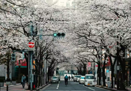 日本留學
