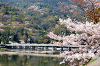 日本留學