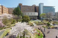 日本就职