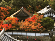 日本留學