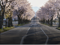 日本 SGU 英语