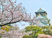日本大學