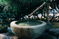 日本留学
