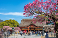 日本留學