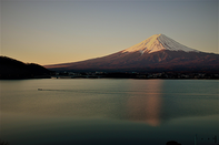 日本留学