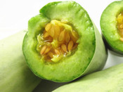 荷蘭留學(xué)