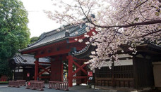 日本留學(xué)