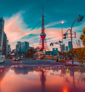 日本留学