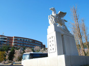 韓國新羅大學