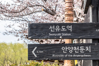 韩国大学通识教养课选课