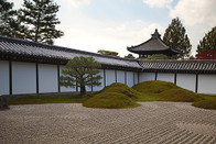 日本留学