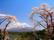 芥末留學