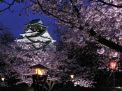 日本留學