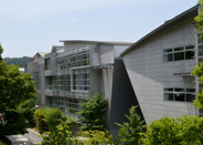 日本大學(xué)