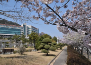 韩国留学