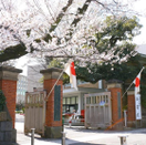日本留學(xué)