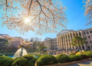 韩国大学