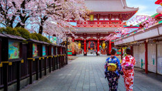 日本留学