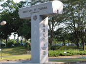 芥末留学
