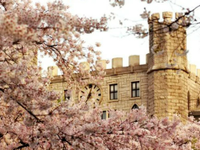 韩国留学