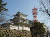 日本留學