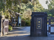 芥末留学