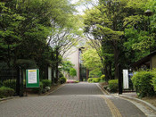 日本留學