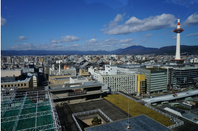 芥末留学