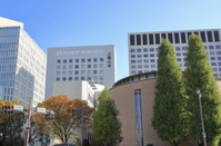 日本大学
